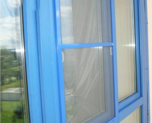 Colored insect screens