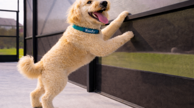 Pet Screen