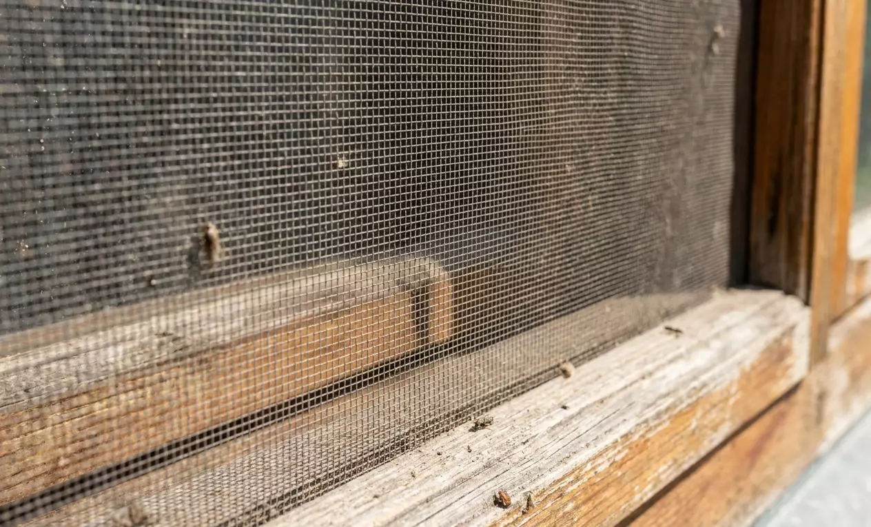 Top-10 insect screens by Screen Factory Florida