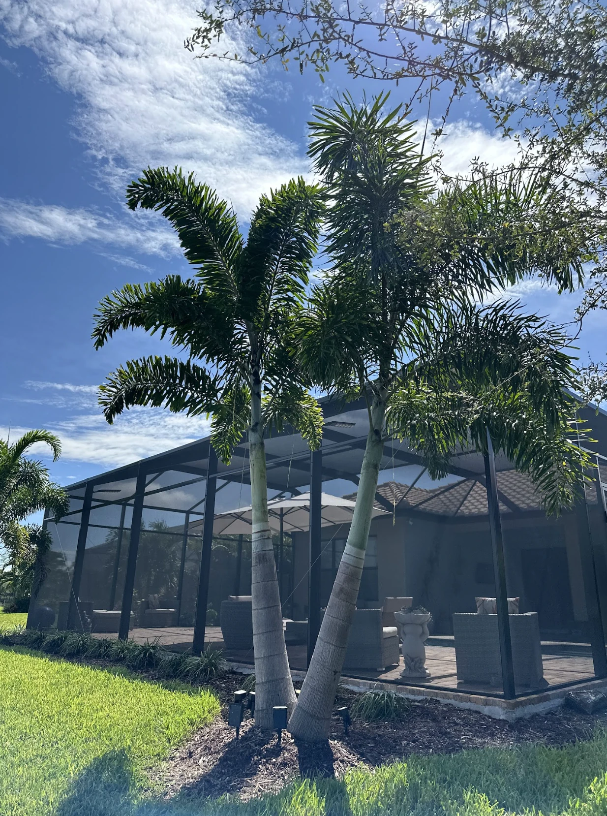 Screen Pool Lanai