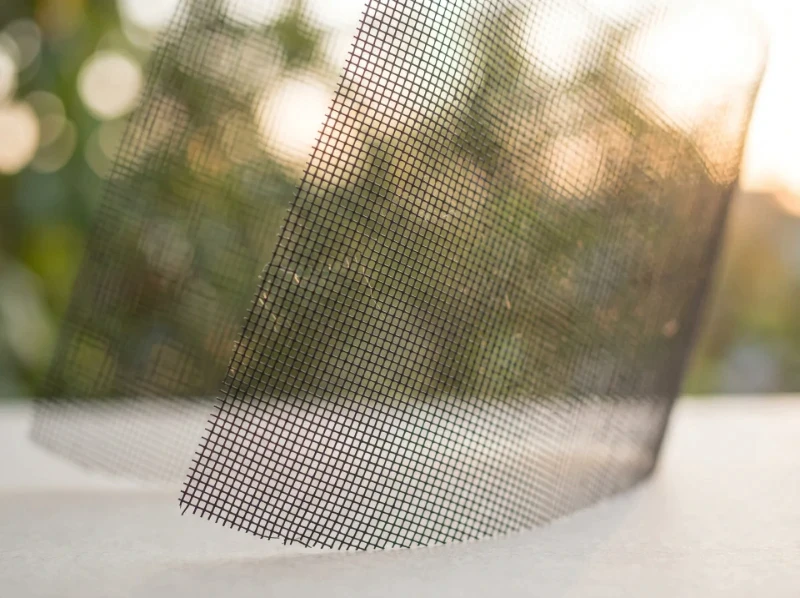Insect Mesh