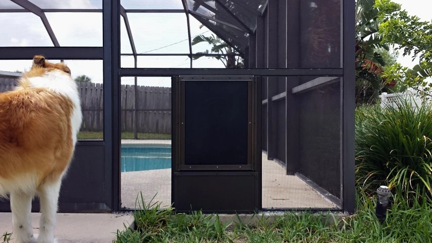 Pet doors – convenience for the whole family