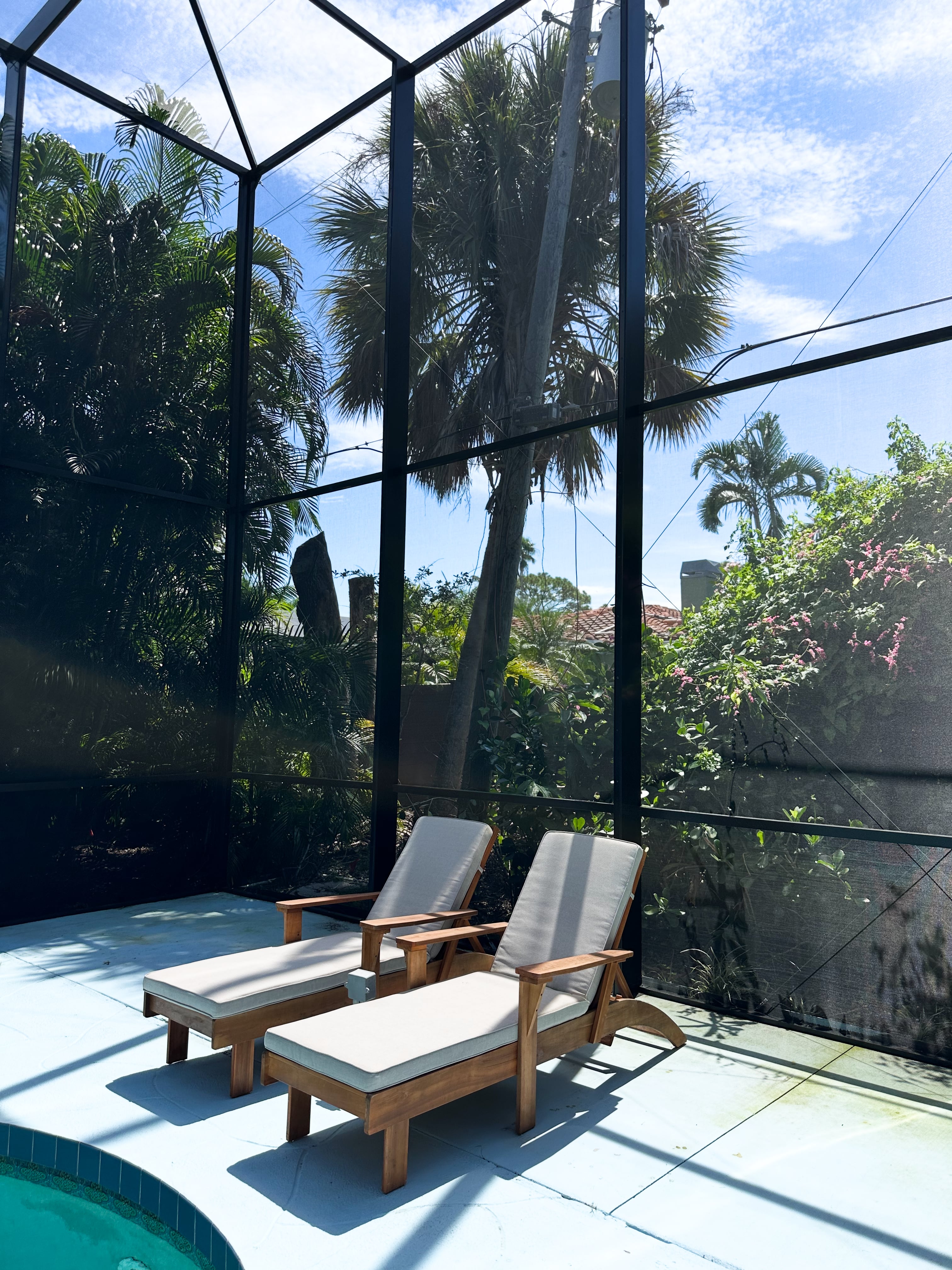 No see um screen mesh palm trees Venice FL